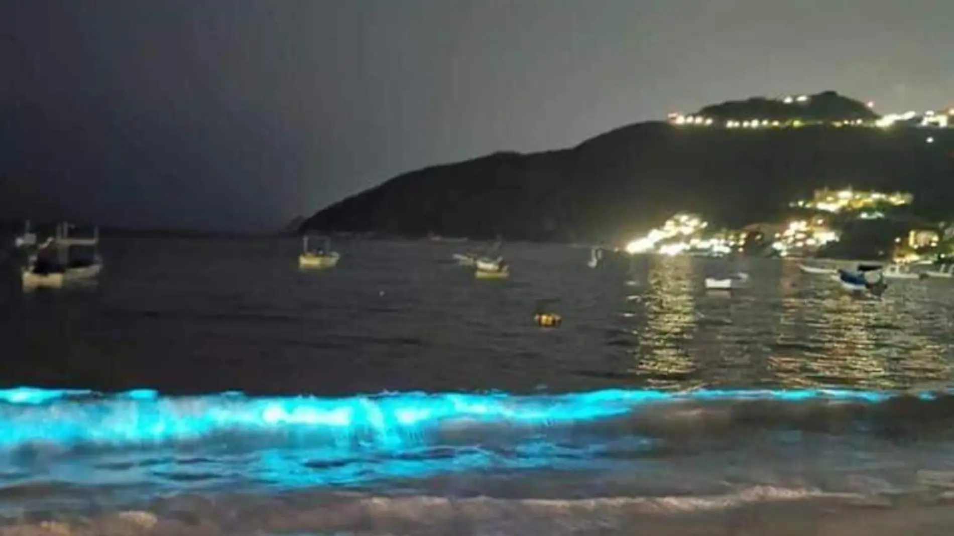 Puerto Marques Luces